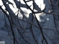 2017-12-29 V. del Morretano 042